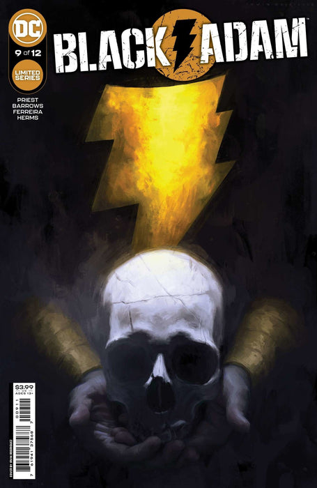 Black Adam #9 Of 12 Cvr A Irvin Rodriguez