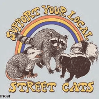 Magnet - Support your local street cats