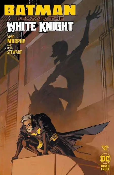 Batman Beyond The White Knight #6 Of 8 Cvr B Fiona Staples Var MR