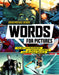 Words For Pictures Art & Business Of Writing Comics Softcover OTHER PUBLISHERS