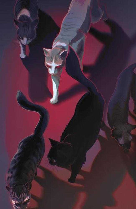 Feral #1 Cover E 1 in 25 Sweeny Boo Variant Image Comics