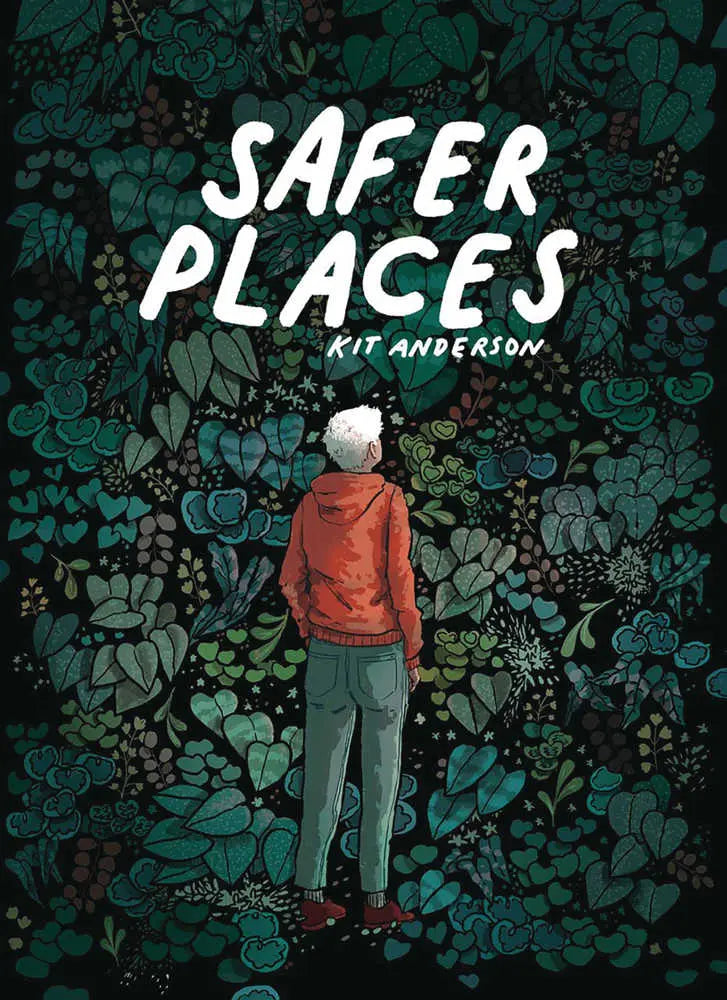 Safer Places Graphic Novel OTHER PUBLISHERS