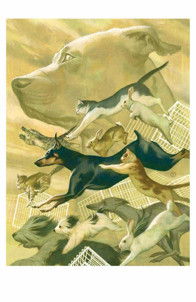 Animal Pound #3 (Of 5) Cover E Unlockable (Mature) Boom! Studios