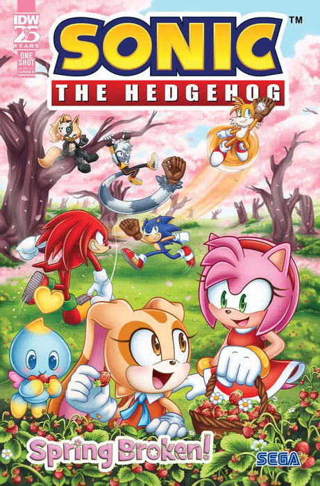 Sonic The Hedgehog: Spring Broken! Variant B (Starling) IDW Publishing