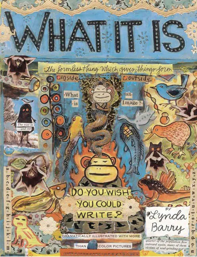 What It Is Graphic Novel (Mature) Drawn & Quarterly
