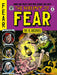 The EC Archives: The Haunt Of Fear Volume 4 Dark Horse