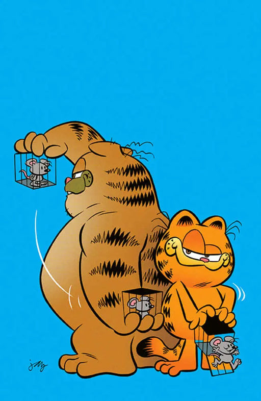 Garfield #3 (Of 4) Cover B Stephens Boom! Studios