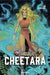 Thundercats Cheetara TPB Volume 01 Dynamite Entertainment