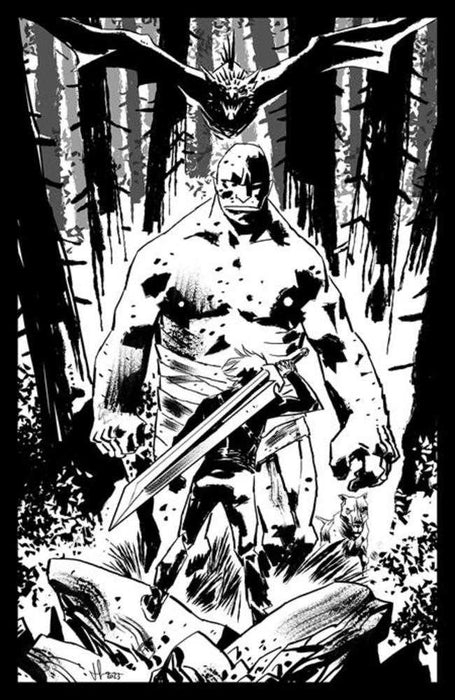 Lost Fantasy #1 Cover C Inc 1:15 Luca Casalanguida Black & White Variant Image Comics