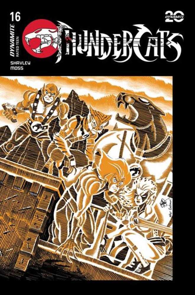 Thundercats #16 Cover G Ken Haeser Teenage Mutant Ninja Turtles Homage Variant Dynamite Entertainment
