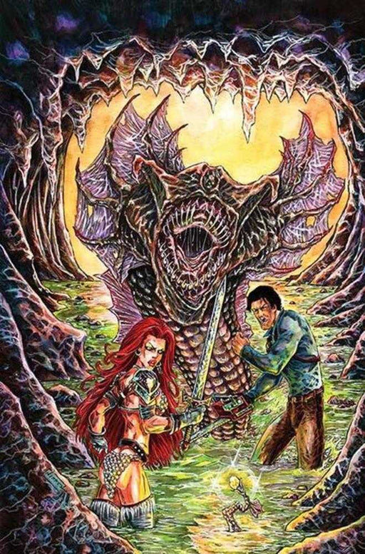 Red Sonja vs the Army of Darkness #4 Cover H 1 in 10 Nikkol Jelenic Full Art Variant Dynamite Entertainment