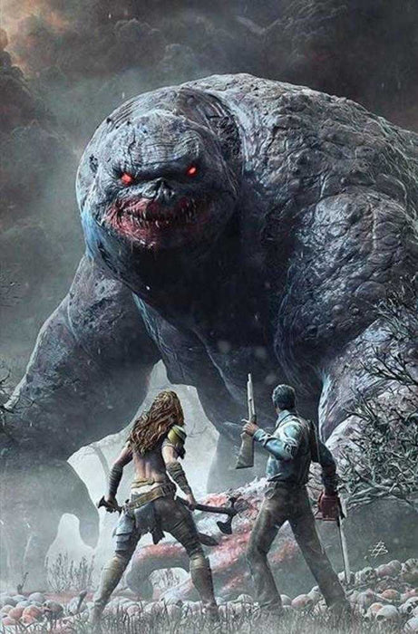 Red Sonja vs the Army of Darkness #4 Cover J Inc 1:15 Bjorn Barends Full Art Variant Dynamite Entertainment