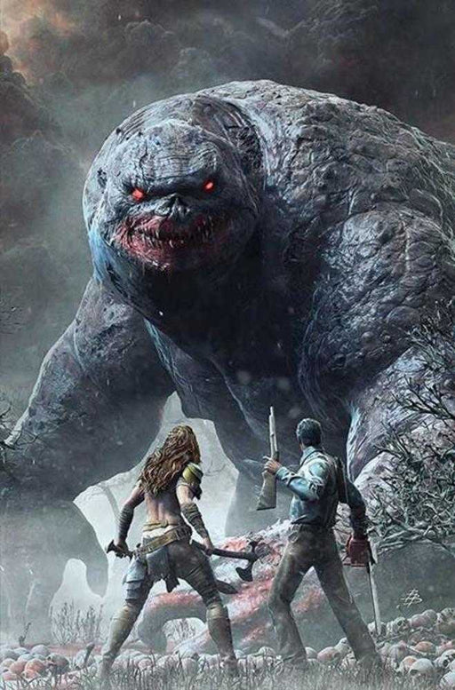 Red Sonja vs the Army of Darkness #4 Cover J Inc 1:15 Bjorn Barends Full Art Variant Dynamite Entertainment