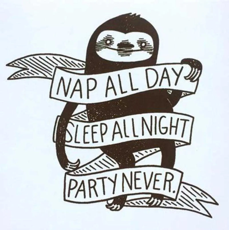 Nap All Day Sleep All Night Party Never Sloth Sticker Silver Sprocket