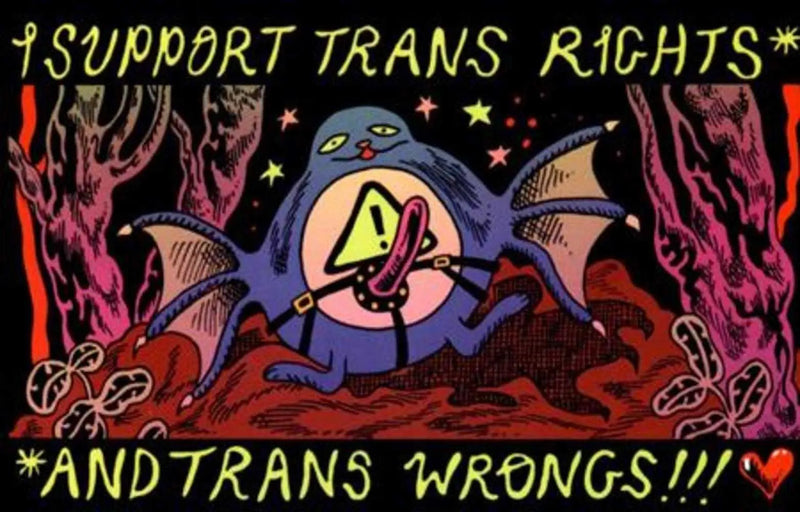 Boy Island I Support Trans Rights And Trans Wrongs Sticker Silver Sprocket