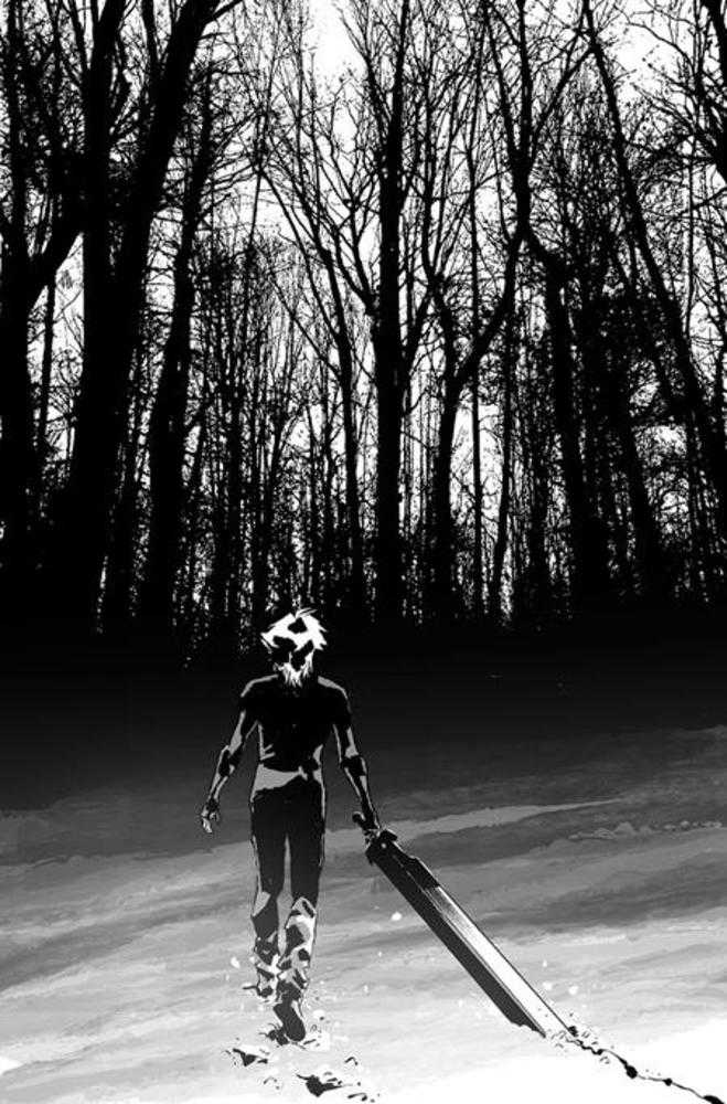 Lost Fantasy #7 Cover C Inc 1:15 Luca Casalanguida Black & White Full Art Variant