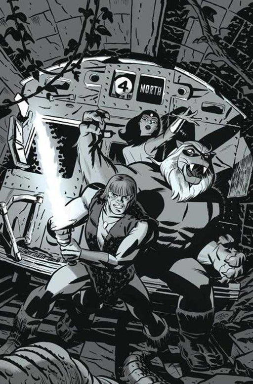 Thundarr The Barbarian #2 Cover H Inc 1:15 Michael Cho Line Art Full Art Variant Dynamite Entertainment