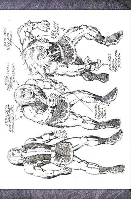 Thundarr The Barbarian #1 Cover U Inc 1:7 Jack Kirby Model Sheet Virgin FOC Bonus Variant Dynamite Entertainment