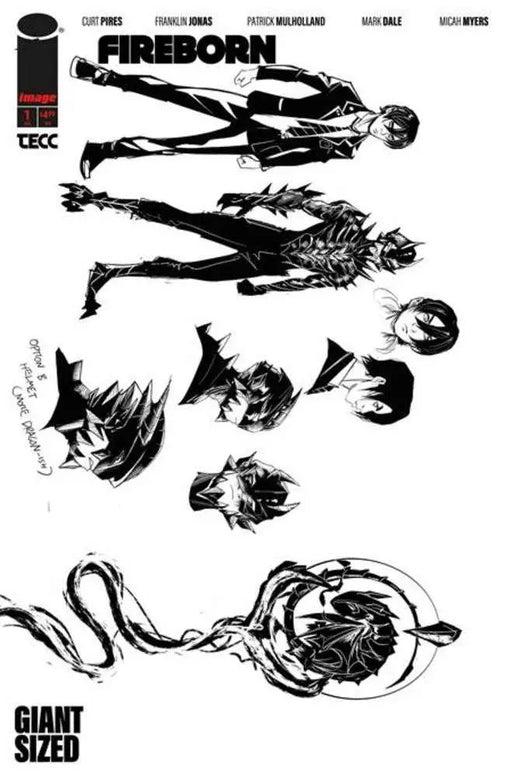 Fireborn #1 Cover F Inc 1:15 Patrick Mulholland Design Variant Image Comics