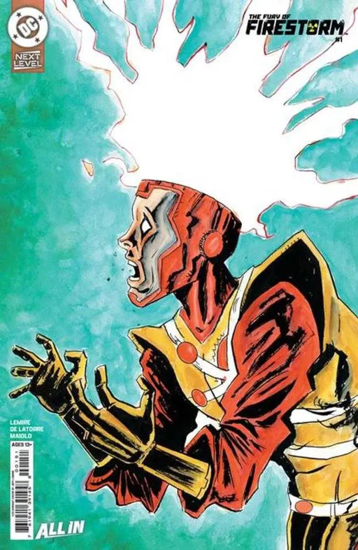 Fury Of Firestorm #1 (Of 6) Cover G 1 in 25 Jeff Lemire Card Stock Variant DC Comics