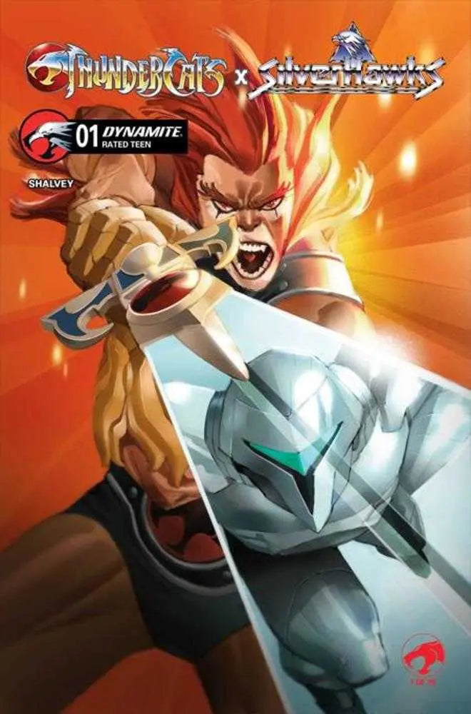 Thundercats X Silverhawks #1 Cover C Eric Canete Variant Dynamite Entertainment