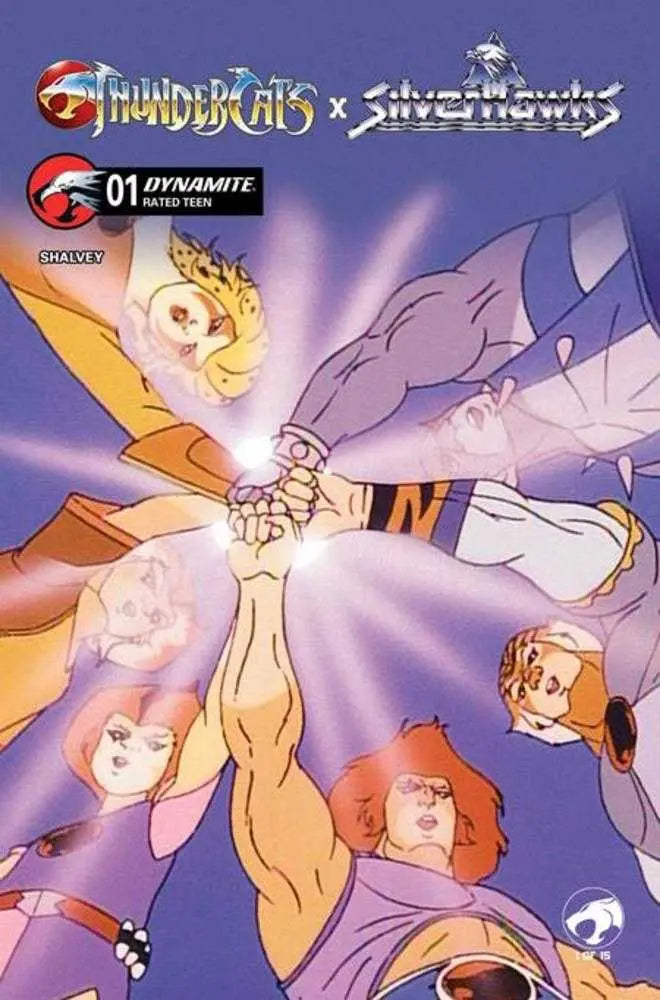 Thundercats X Silverhawks #1 Cover E Animation Art Variant Dynamite Entertainment