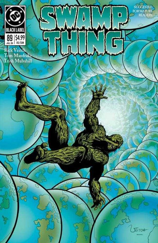 Swamp Thing 1989 #2 (Of 4) Cover A Rick Veitch (Mature) DC Comics
