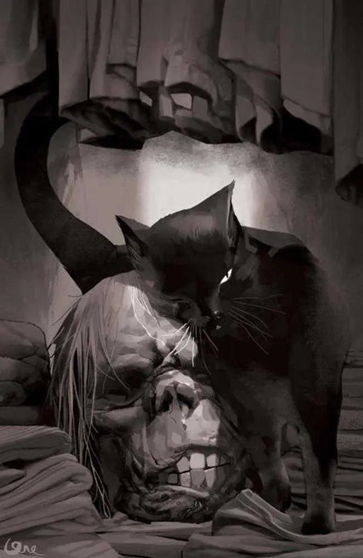 Red Roots #1 Cover H 1 in 25 Lorenzo De Felici Black & White Full Art Variant Image Comics