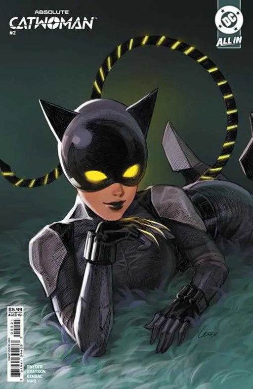 Absolute Catwoman #2 (Of 6) Cover B Lesley Leirix Li Card Stock Variant DC Comics