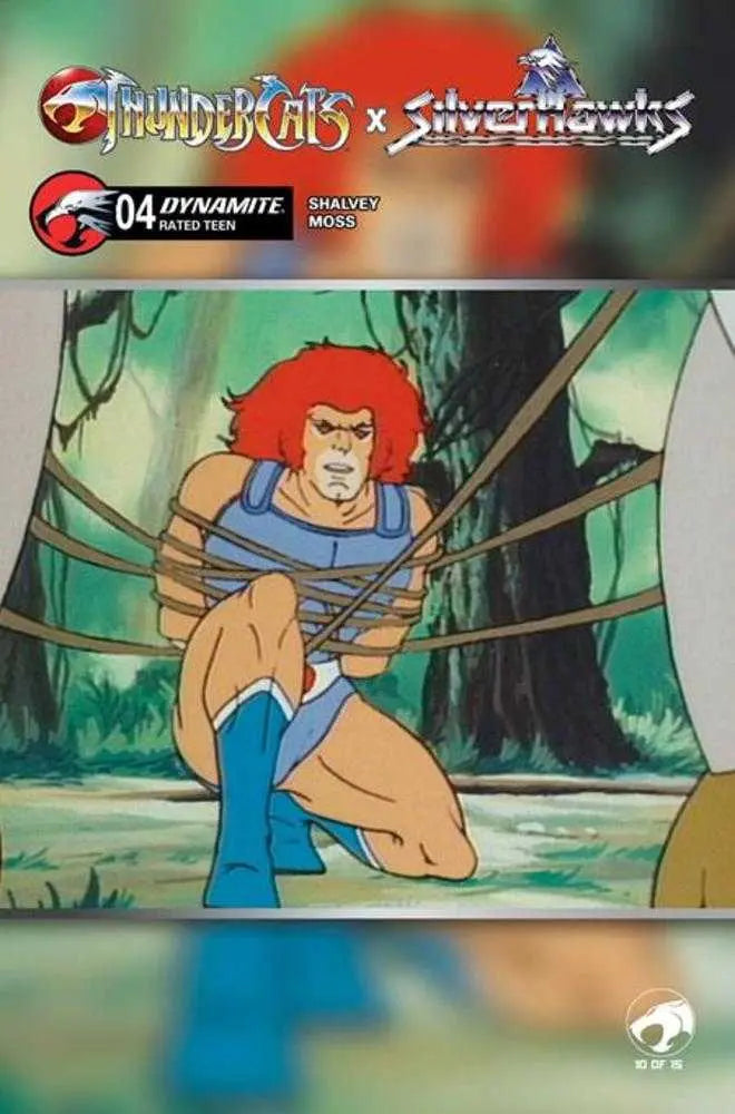 Thundercats X Silverhawks #4 Cover E Animation Art Variant Dynamite Entertainment