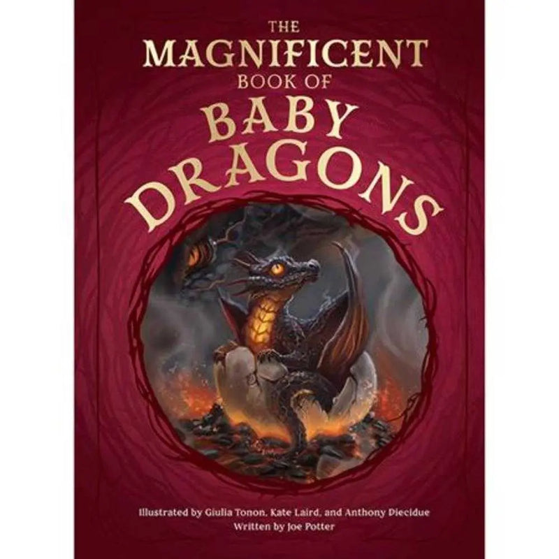 Magnificent Book Of Baby Dragons Hardcover Massive Publishing