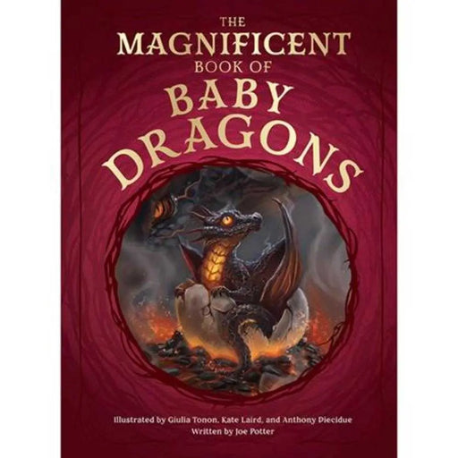 Magnificent Book Of Baby Dragons Hardcover Massive Publishing