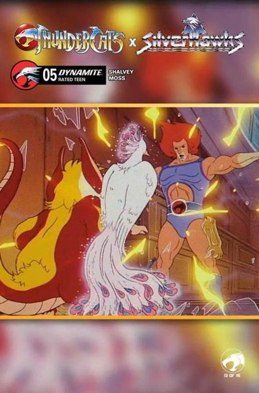 Thundercats X Silverhawks #5 Cover E Animation Art Variant Dynamite Entertainment