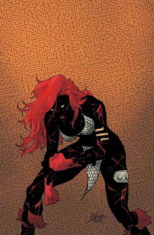 Red Sonja She Devil With A Sword #3 Cover O Inc 1:7 Pablo De Bonis Absolute Homage Full Art Variant Dynamite Entertainment