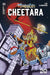 Thundercats Cheetara #3 Cover M Foc Haeser Homage Dynamite Entertainment