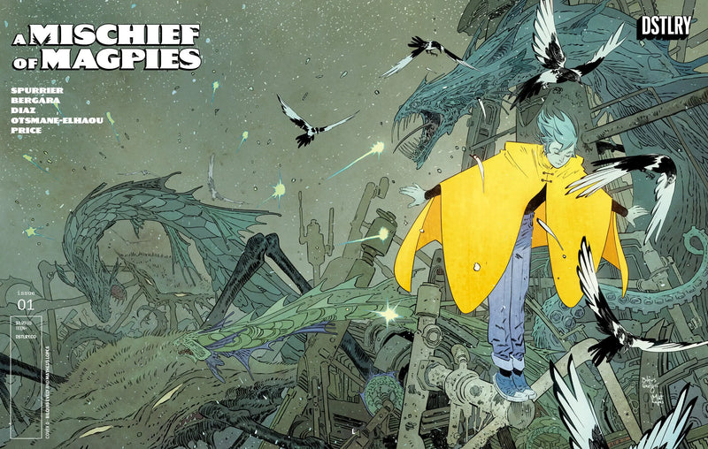 A Mischief Of Magpies #1 Cover D Bilquis Evely 25 Copy Variant DSTLRY