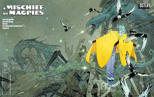 A Mischief Of Magpies #1 Cover D Bilquis Evely 25 Copy Variant DSTLRY