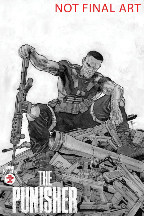 Marvel Knights: Punisher #2