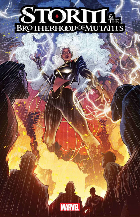 Storm & The Brotherhood Of Mutants 1 Werneck Stormbreakers Variant Sin