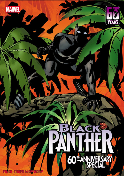 Black Panther 60 Th Anniversary Special #1 Steve Rude Variant Marvel Comics