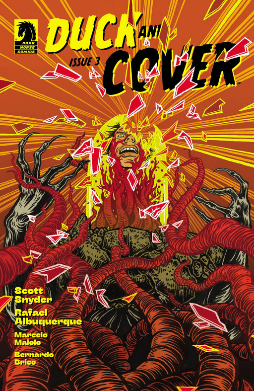 Duck And Cover #3 (Cover C) (1 in 10) (Yuko Shimizu) Dark Horse