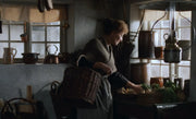 Babette's Feast DVD (Criterion Collection) Criterion Collection