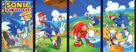 Sonic The Hedgehog: #1 5Th Anniversary Edition Variant A Hesse