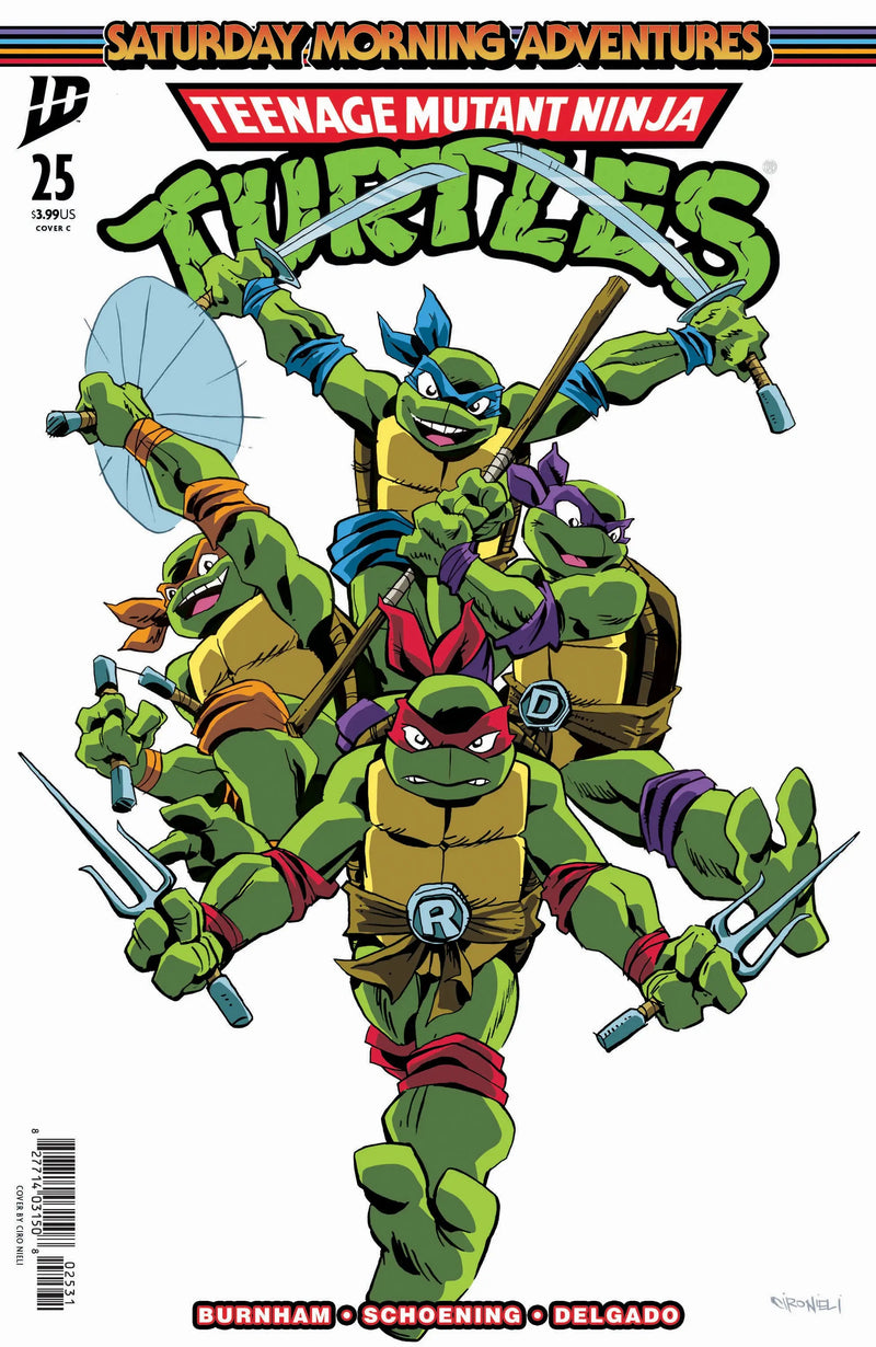 Teenage Mutant Ninja Turtles: Saturday Morning Adventures #25 Variant C (Nieli) IDW Publishing