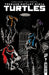 Teenage Mutant Ninja Turtles 2024 #9 Cover C Ferreyra IDW Publishing