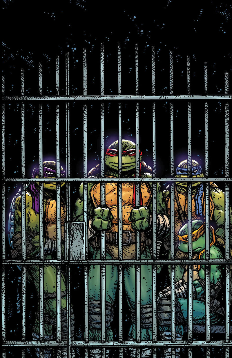 Teenage Mutant Ninja Turtles #11 Variant Ri (10) (Eastman Full Art) IDW Publishing