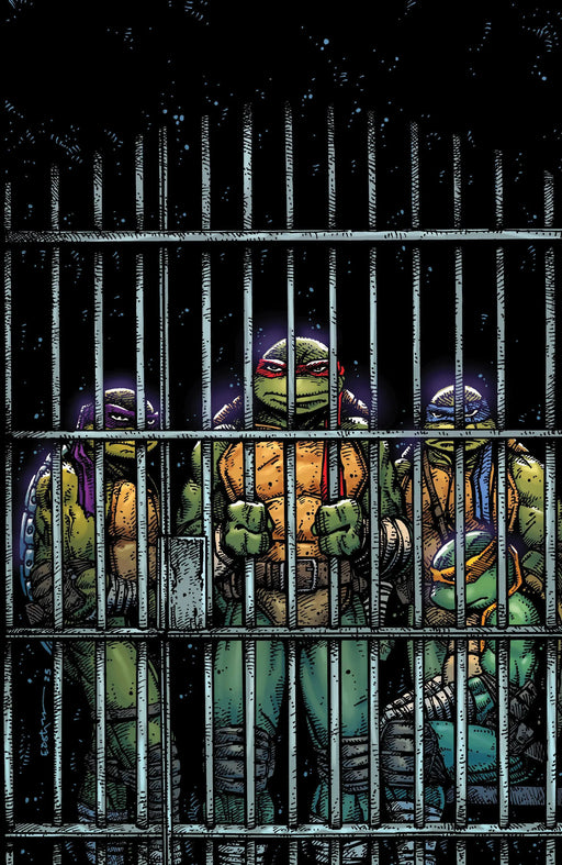 Teenage Mutant Ninja Turtles #11 Variant Ri (10) (Eastman Full Art) IDW Publishing