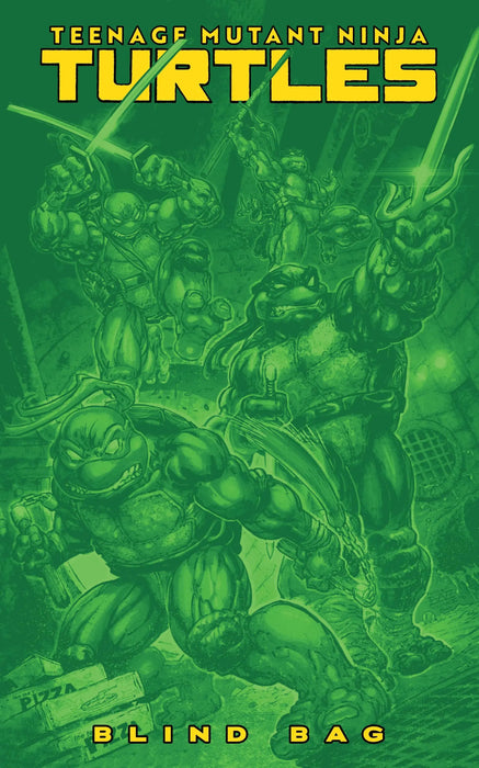 Teenage Mutant Ninja Turtles #13
