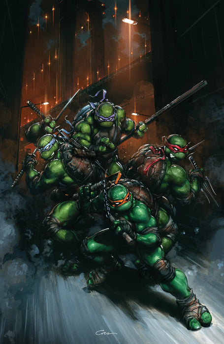 Teenage Mutant Ninja Turtles #13 Variant Ri (50) (Crain Full Art)