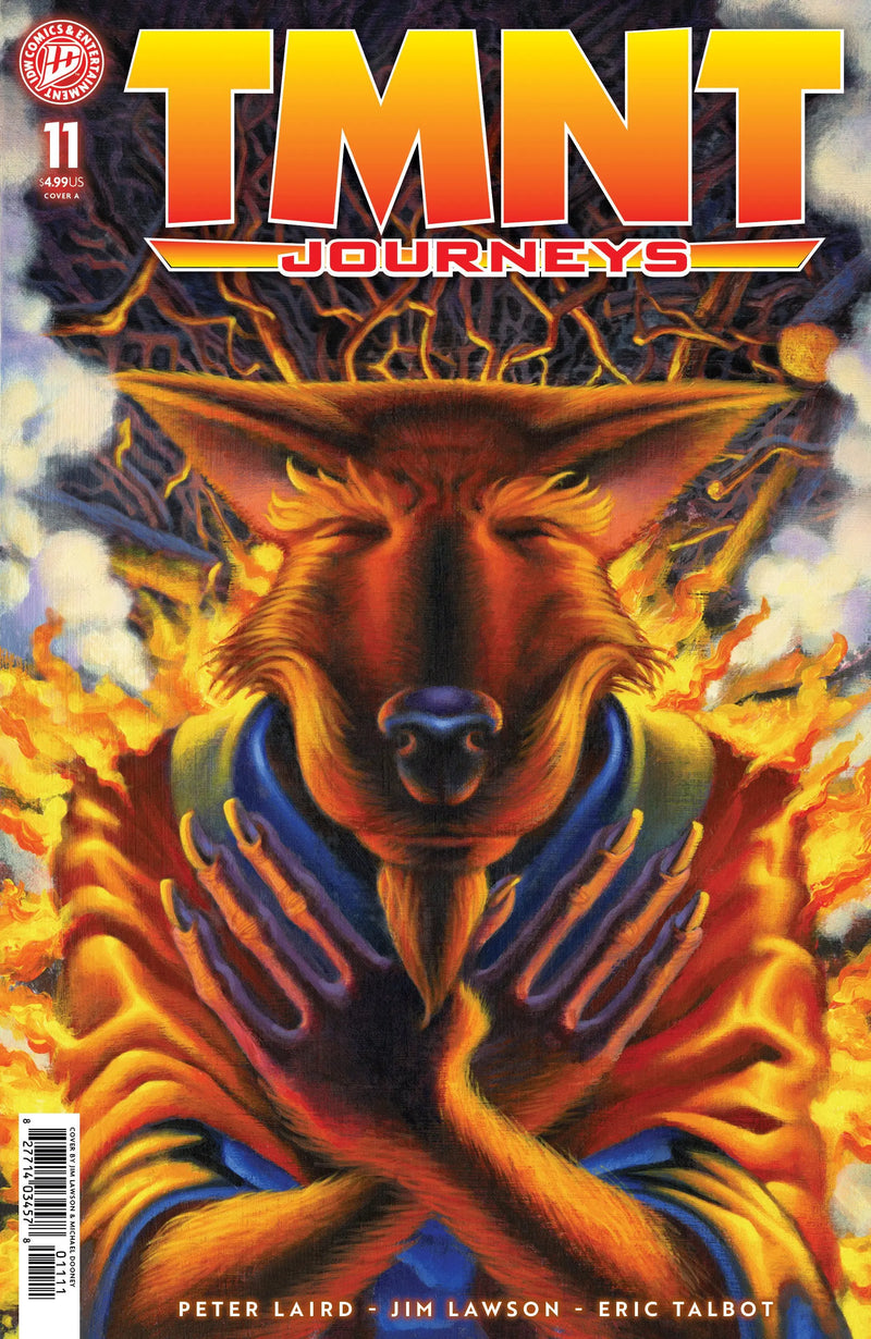 Teenage Mutant Ninja Turtles: Journeys #11 Cover A (Dooney & Lawson) IDW Publishing